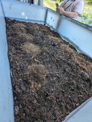 A bin of composted material.