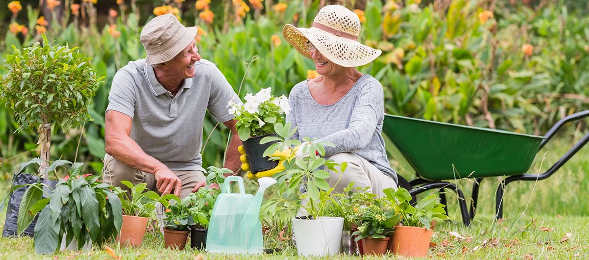 Grandparents in the garden